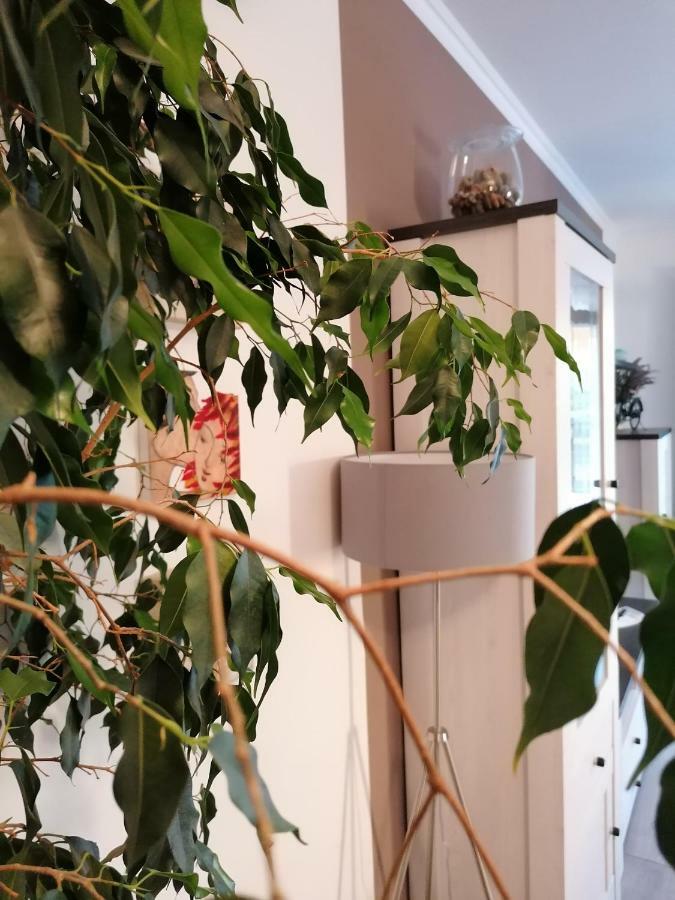 Apartman Luna Sibenik Bagian luar foto