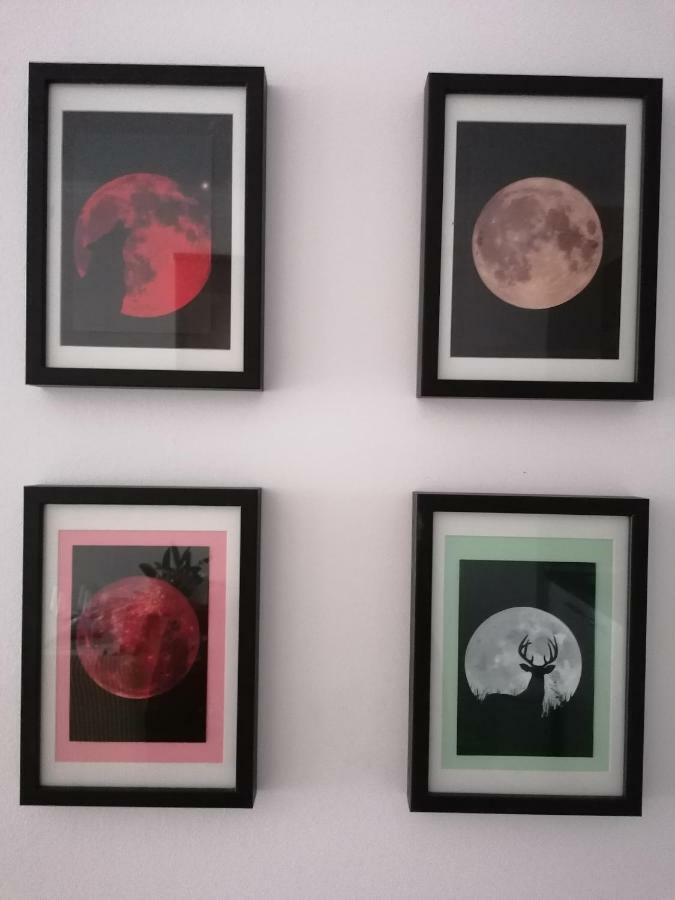 Apartman Luna Sibenik Bagian luar foto