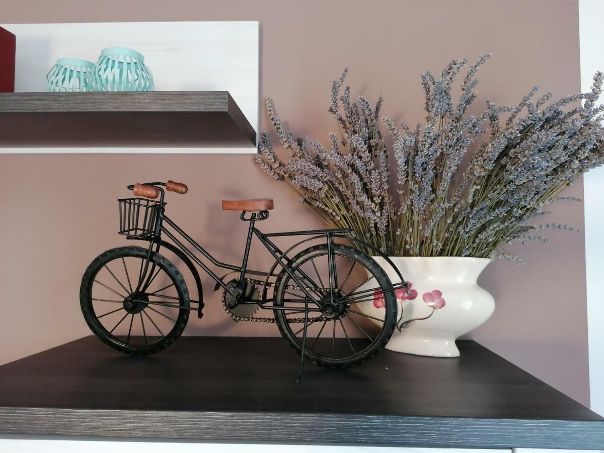 Apartman Luna Sibenik Bagian luar foto