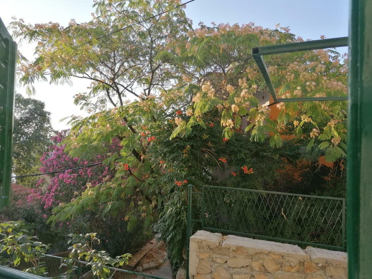 Apartman Luna Sibenik Bagian luar foto